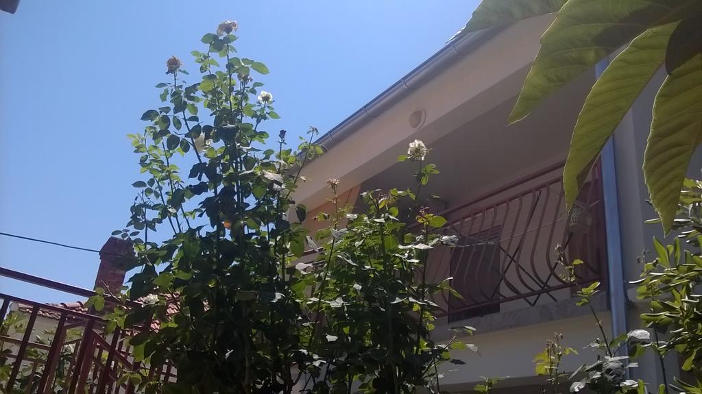 Apartment Cvita Biograd Na Moru Room photo